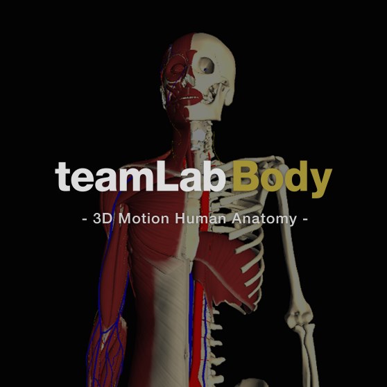 teamLabBody -3D Motion Human Anatomy-