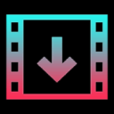 Tiktok Video Downloader - TikSaver