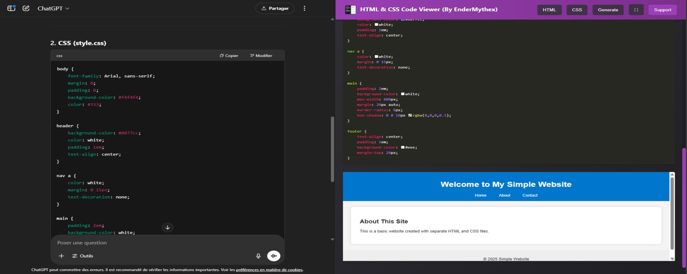 HTML & CSS Code Viewer