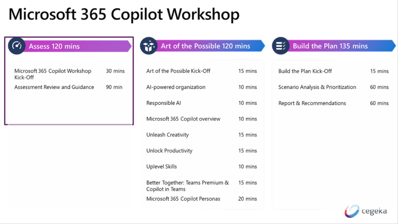Snapshot 1 of Microsoft 365 Copilot Assessment: 3 sessions workshop