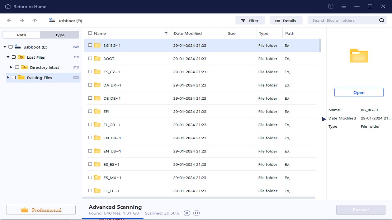 Snapshot 3 of BLR Data File Recovery Software Tool
