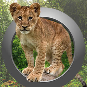 Get Animal Calls, Sounds & Ringtones - Microsoft Store en-IN
