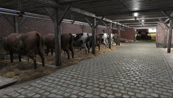 Farmer's Dynasty — 5