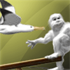 Penguin Fly