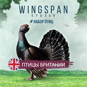 нет доступного описания