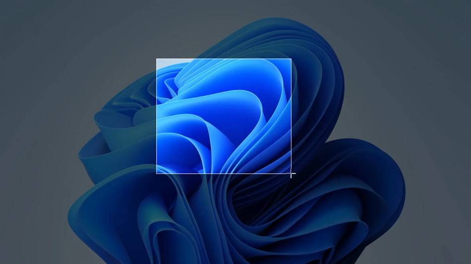 Screenshot· (Windows) By: Hardworking Office