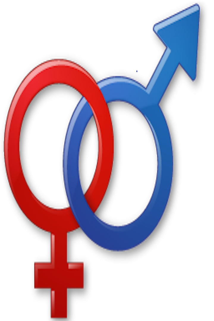 Masturbation Calculator