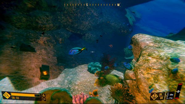 Deep Diving Adventures — 4