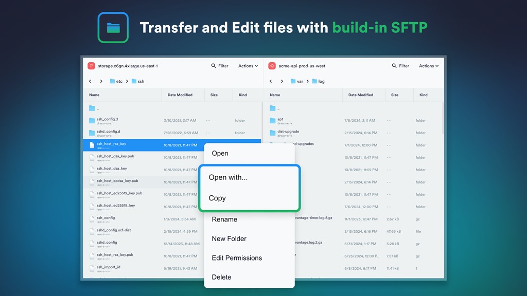 Termius - SSH & SFTP client_6