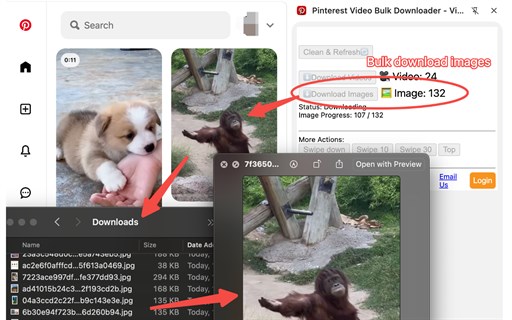 Pinterest Video Bulk Downloader -... Statistiken, Downloads und ...