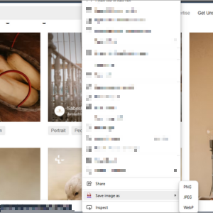 SaveAs Image+