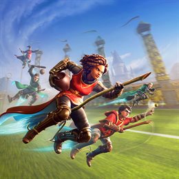 Aperçu Harry Potter: Champions de Quidditch