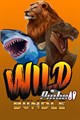 Wild Pinball Bundle