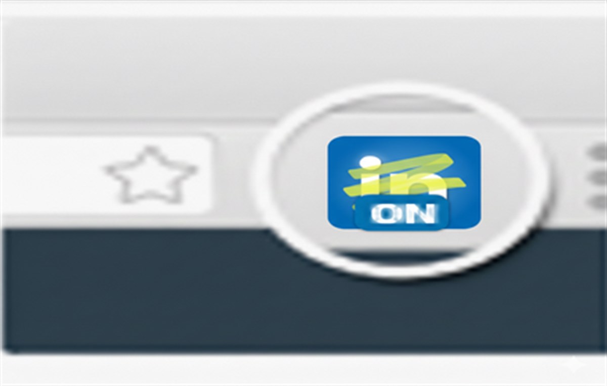 LinkedIn Post Picker
