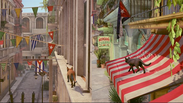 Little Strays: Havana screenshot