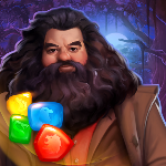 Harry Potter: Enigmi & Magia