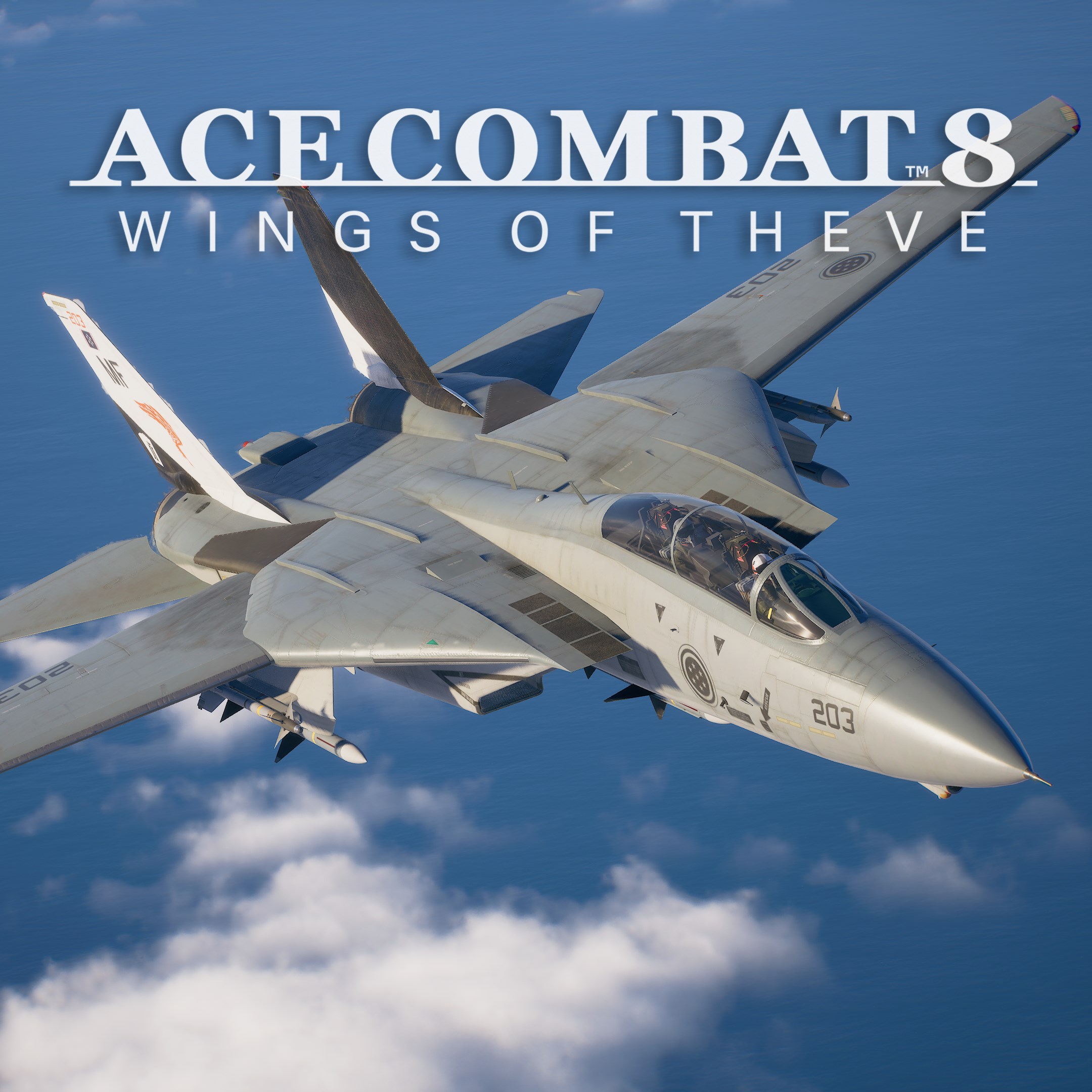 ACE COMBAT 8 - Playable Aircraft: F-14A