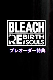 BLEACH Rebirth of Souls - 千年血戦篇衣装セット：日番谷冬獅郎＆四楓院夜一