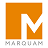 Social Media Analytics: 2-Wk Implementation icon