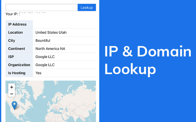 IP & Domain Lookup