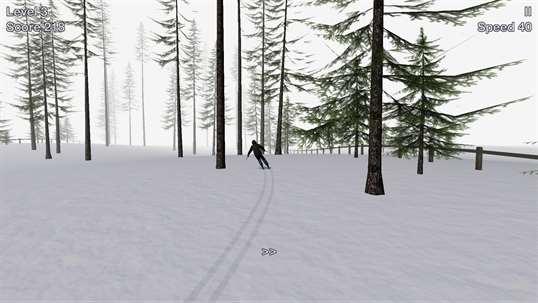 Alpine Ski III screenshot 5