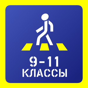 Курс по БДД (9-11 классы)