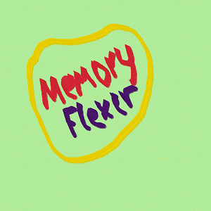 MemoryFlexer