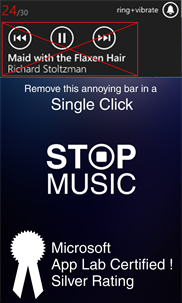 Stop Music screenshot 1