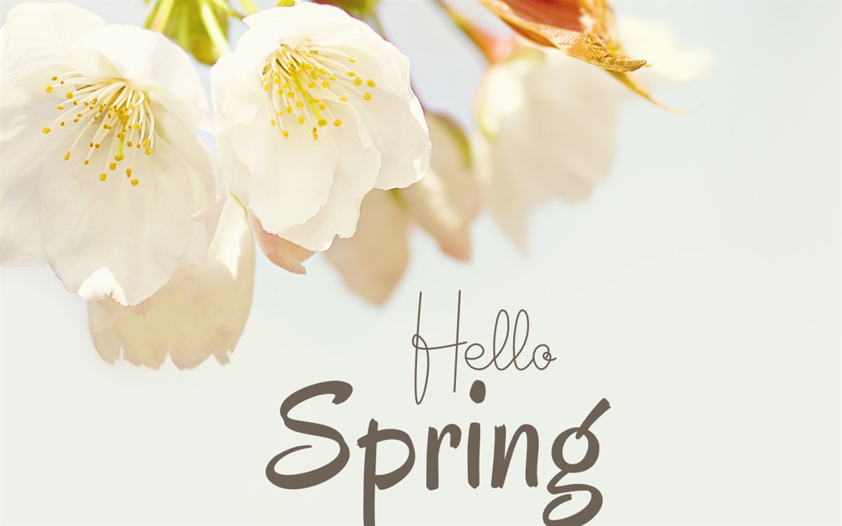 Hello Spring VN88 Wallpaper New Tab