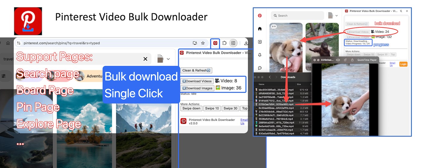 Pinterest Video Bulk Downloader - HD Video and Images