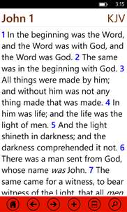 Study Bible screenshot 4