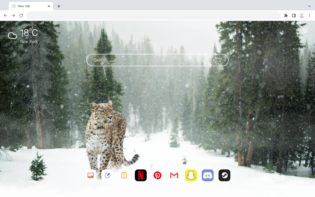 Snow Leopard Wallpaper HD HomePage