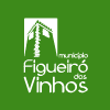 Município de Figueiró dos Vinhos