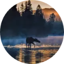 Isle Royale National Park Wallpaper New Tab icon