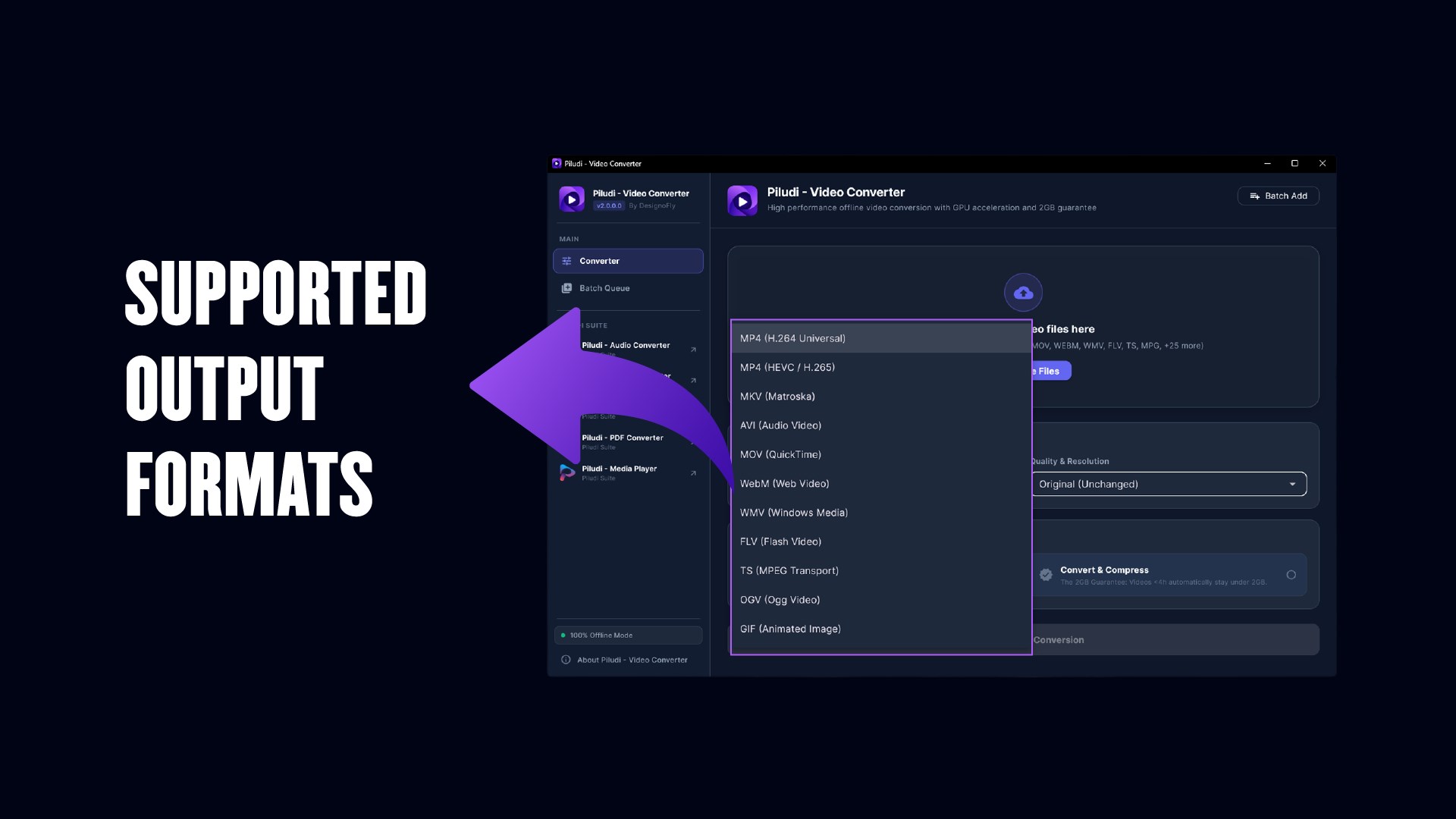 Piludi – Video Converter (Formerly Free Video Converter) Screenshot 3