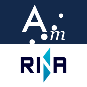Audit Manager - RINA