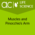 AC Life Science: Muscles and Pinocchio’s Arm