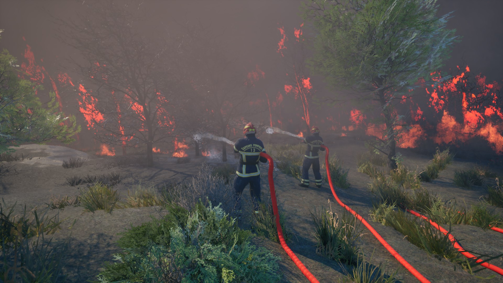 Cover art for Rescue Ops: Wildfire