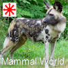 Mammalworld