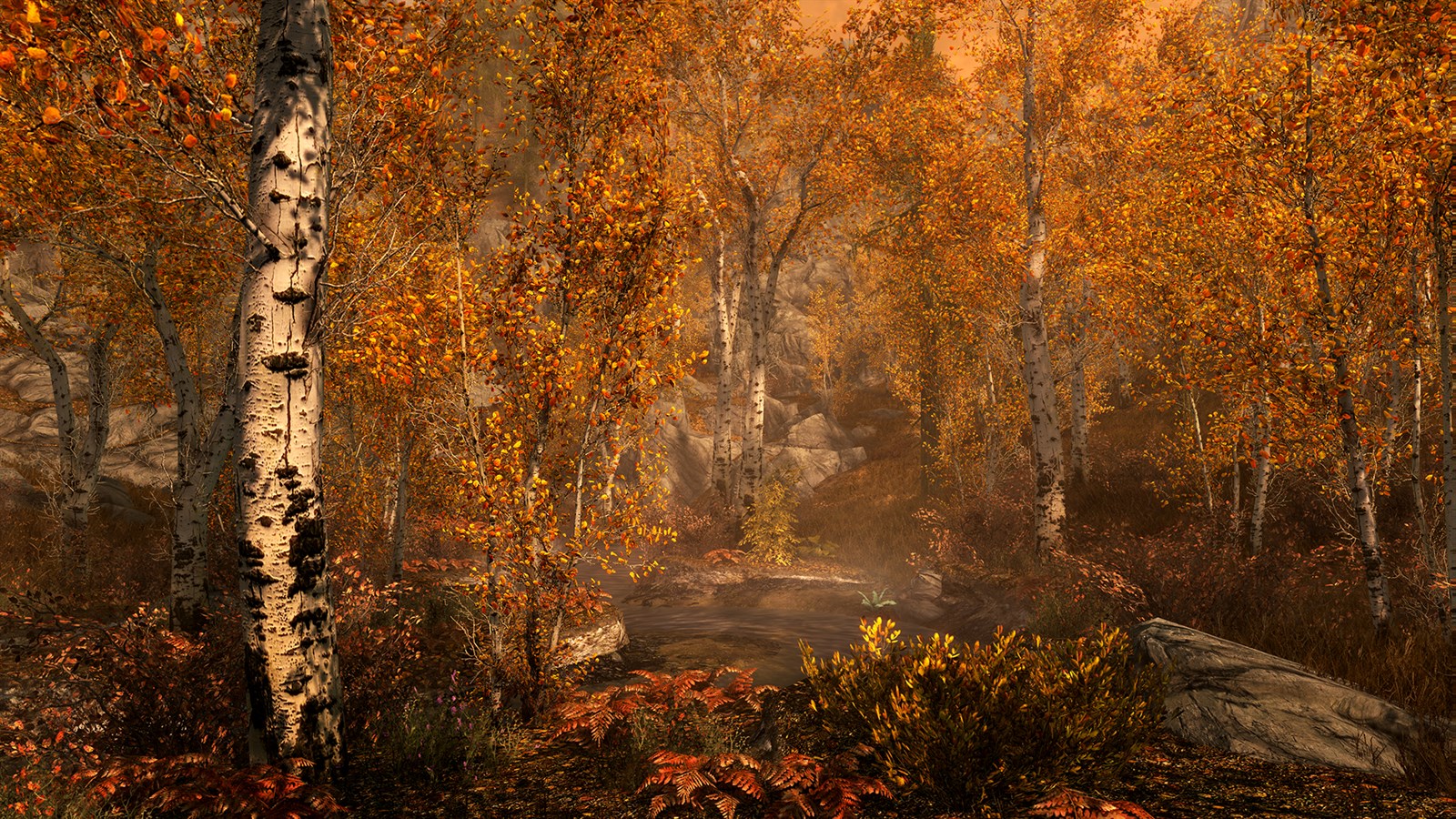 The Elder Scrolls V: Skyrim Special Edition — captura 7