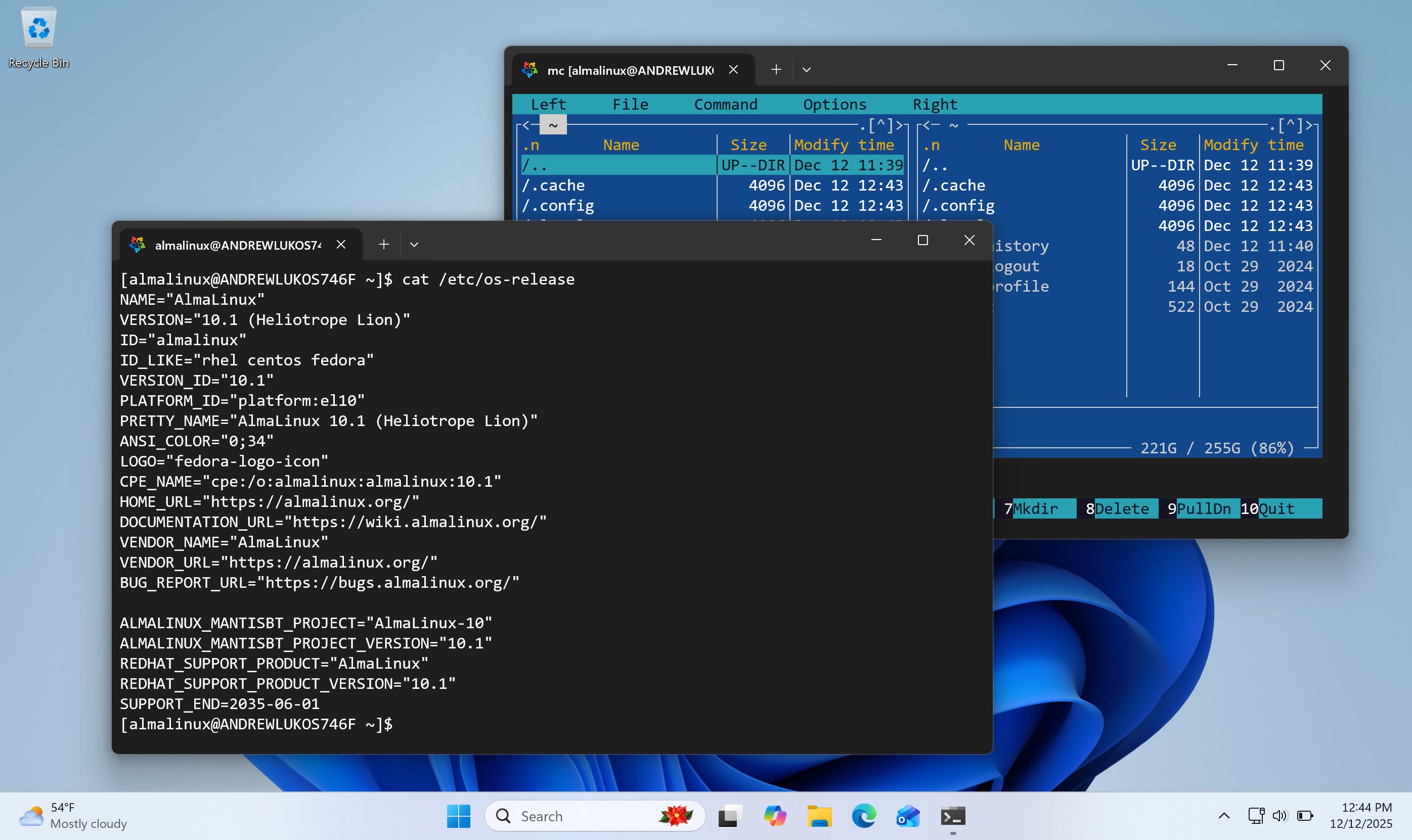AlmaLinux OS 10 screenshot