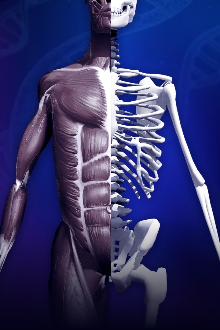 Discover Human Body - Anatomy and Physiology