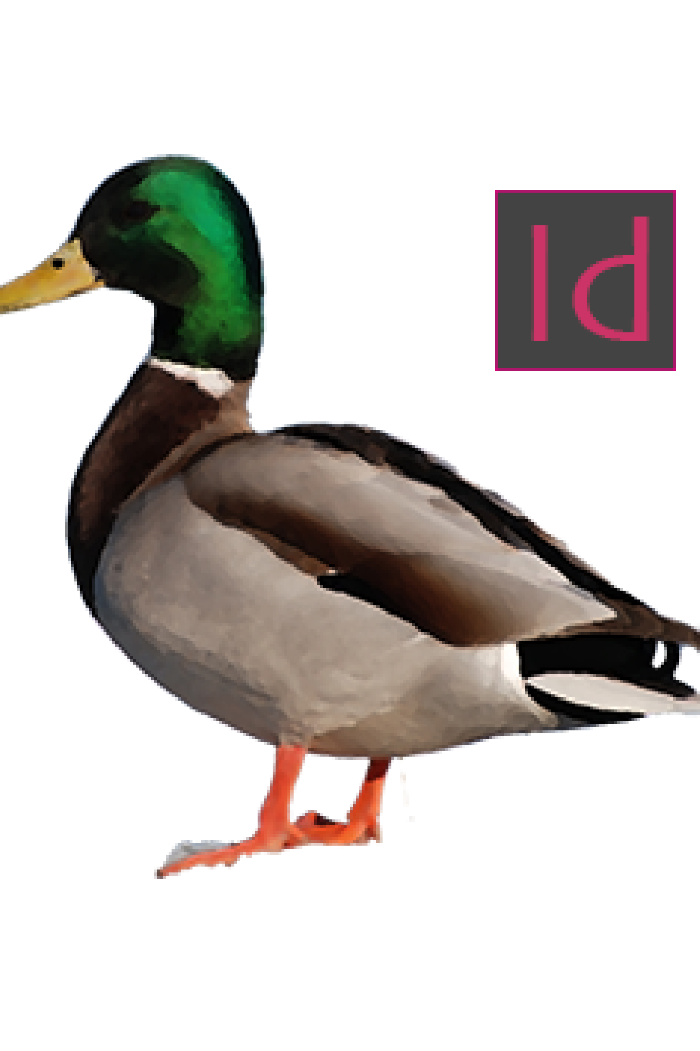 InDesignDevEnv