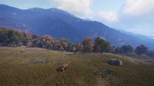 theHunter: Call of the Wild™ - Sundarpatan Nepal Hunting Reserve