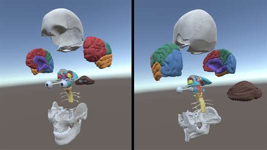 Brain Anatomy VR screenshot 4