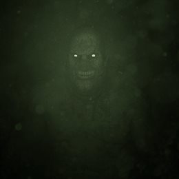 Aperçu Outlast