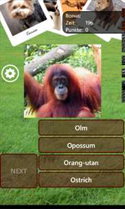 Animal Quiz screenshot 1