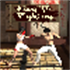 Kung Fu Fighting