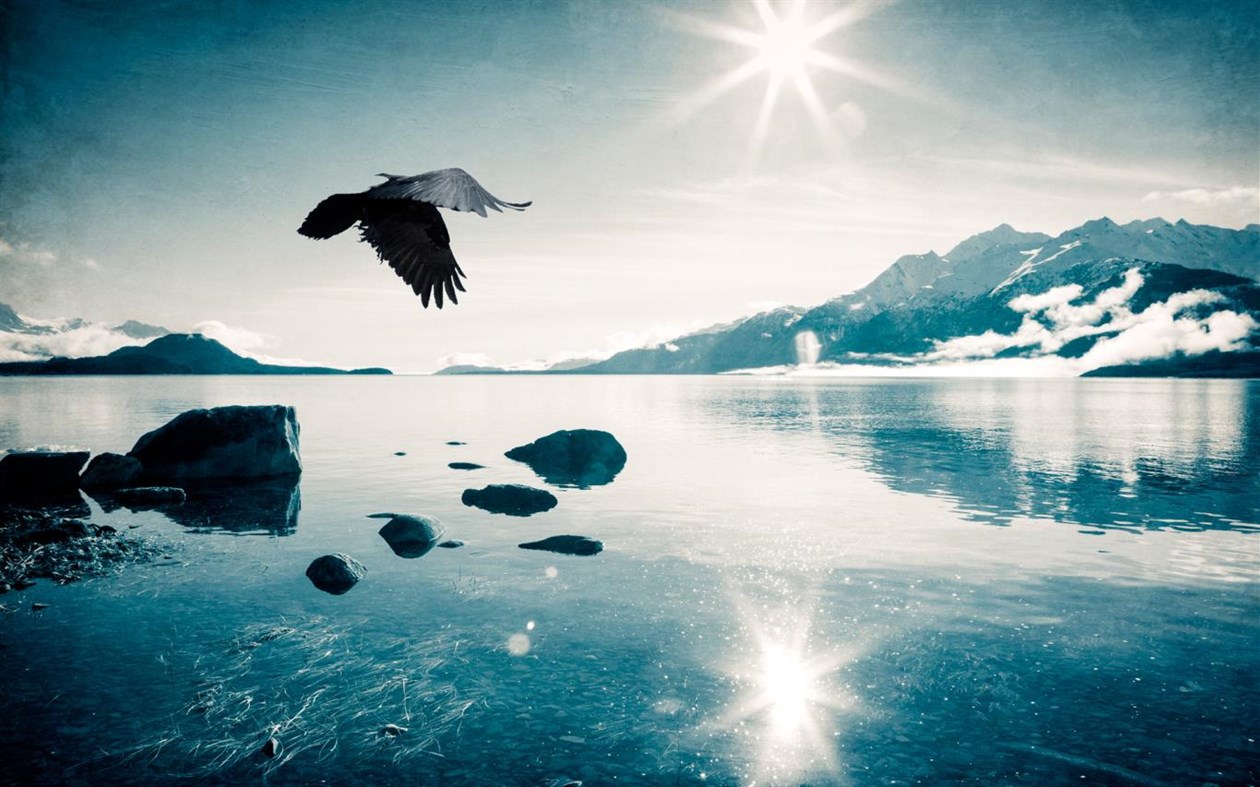 #4. Call of the Raven (Windows) 由: Microsoft Corporation