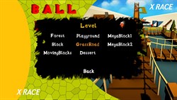 Ball Race